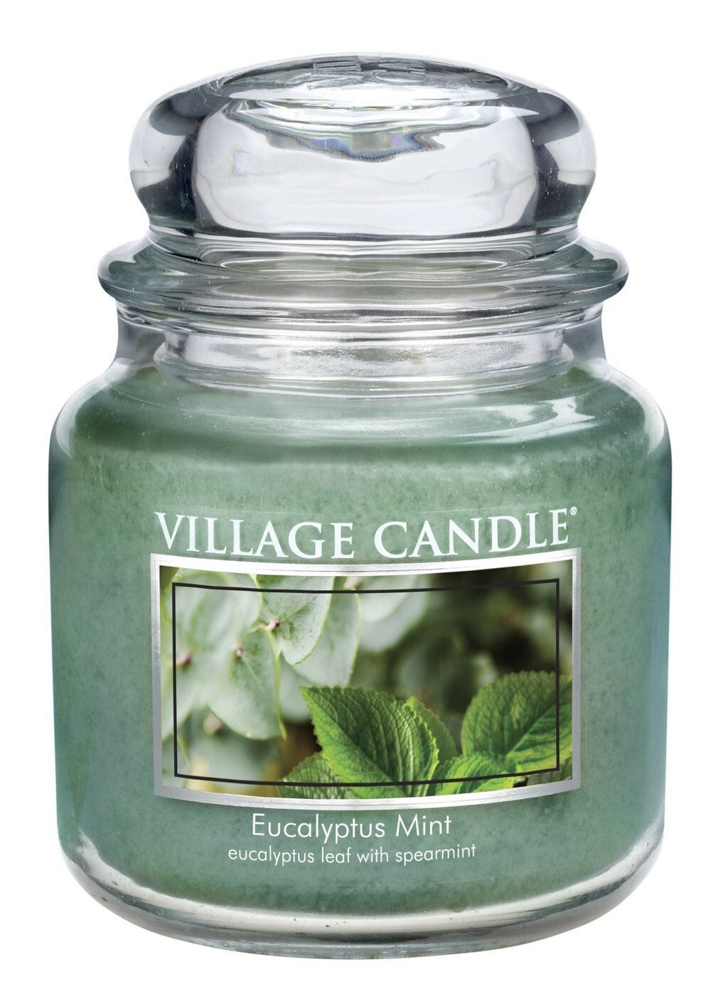 Village Candle Eucalyptus Mint Mittel Glas 411 g Kerzen Teelichter