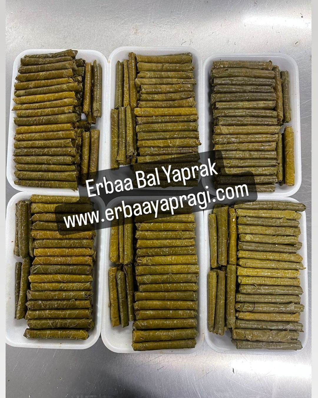 Tokat Erbaa Sarma Yapragi eingelegte Spezialität 400g Vorrat