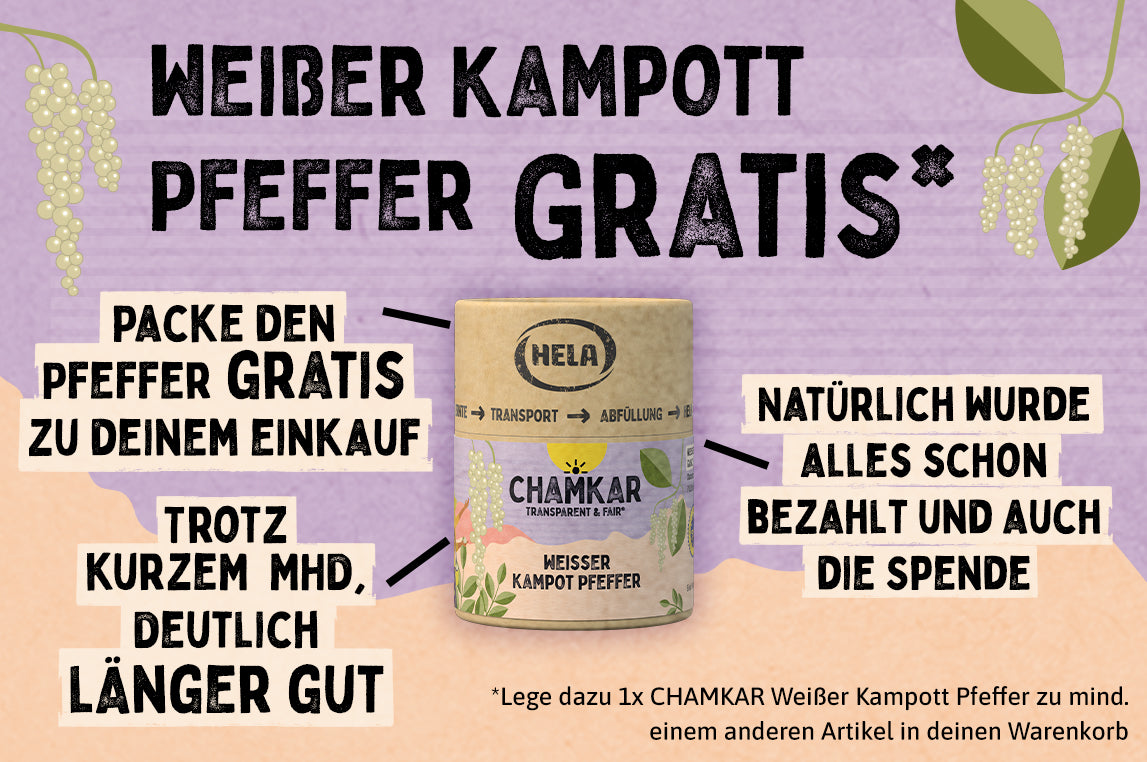 Halis Antep Curry Gewürz für die türkische Küche 100g Küchengewürz