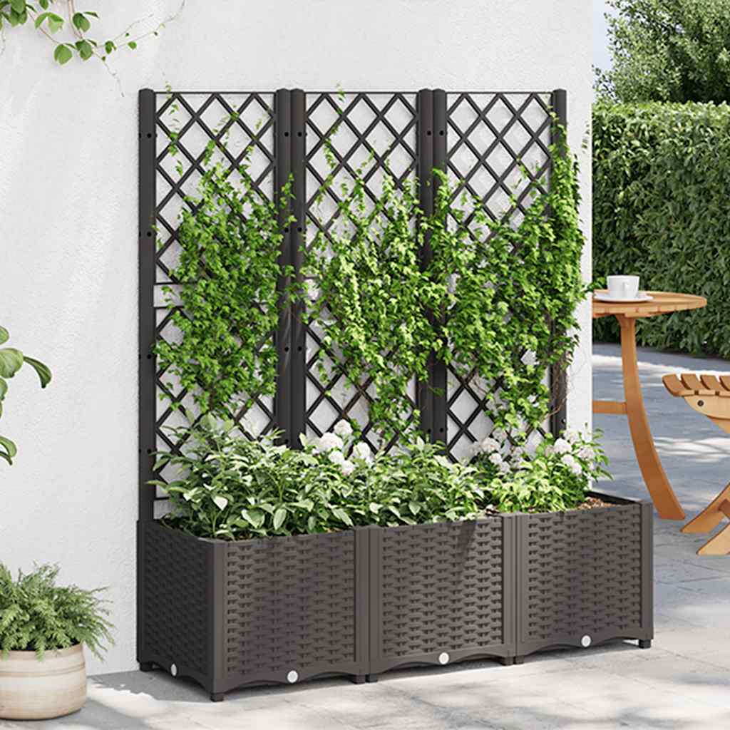 JUNG Vida Garten-Pflanzgefäß mit Spalier Schwarz 120 x 40 x 136 cm PP