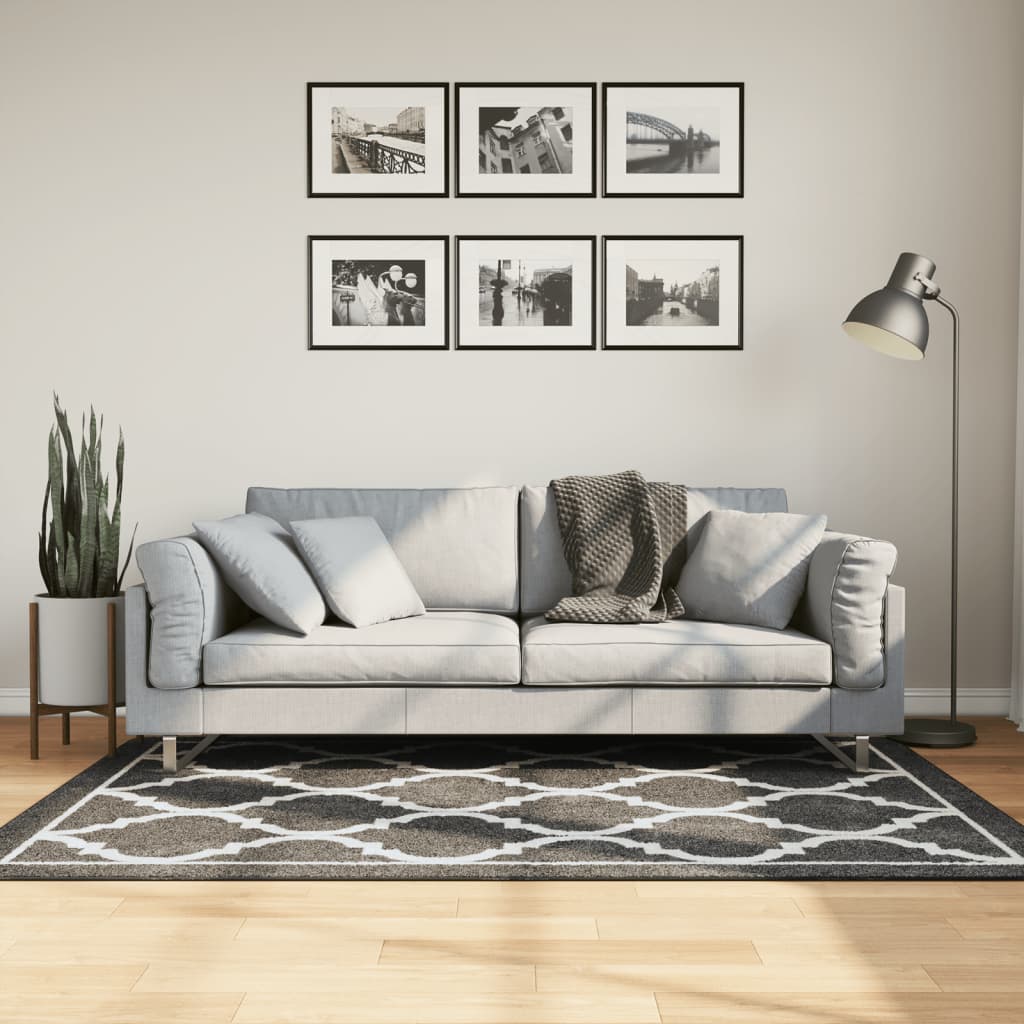 JUNG Vida Teppich Waschbar Schwarz und Weiß 120x180 cm Rutschfest