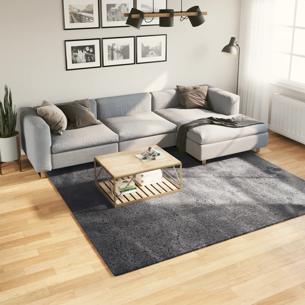 JUNG Vida Teppich HUARTE Kurzflor Weich und Waschbar Anthrazit 240x240 cm