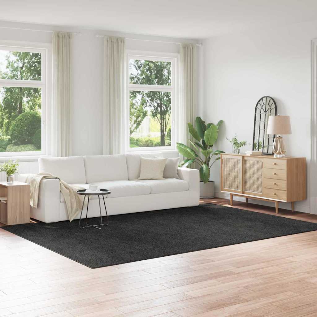 JUNG Vida Anti-Rutsch Shaggy Teppich Dunkelgrau 240 x 340 cm PP