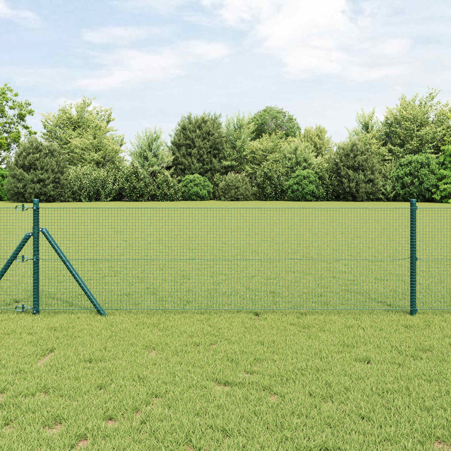 JUNG Vida Geschweißter Drahtzaun Grün 0,6 x 25 m