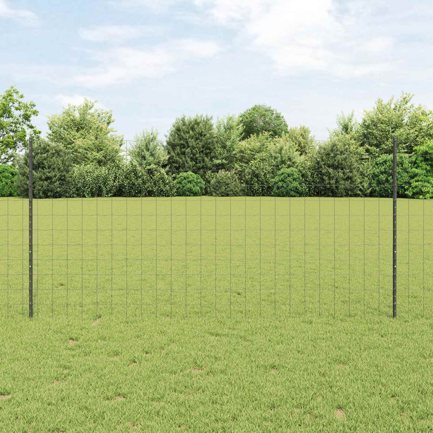 JUNG Vida Zaun mit Pfosten Grau 1,2 x 10 m Stahl