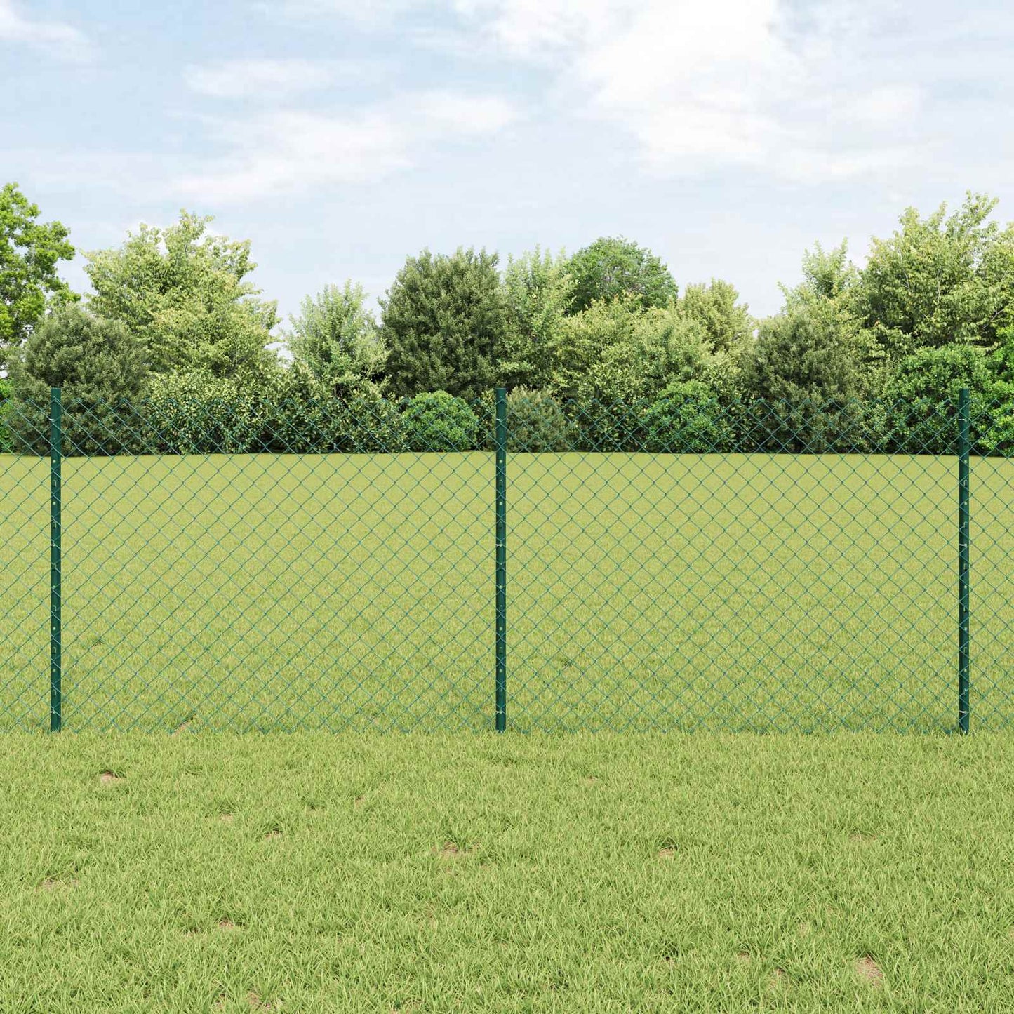 JUNG Vida Zaun mit Pfosten Grün 0,8 x 10 m Stahl und PVC