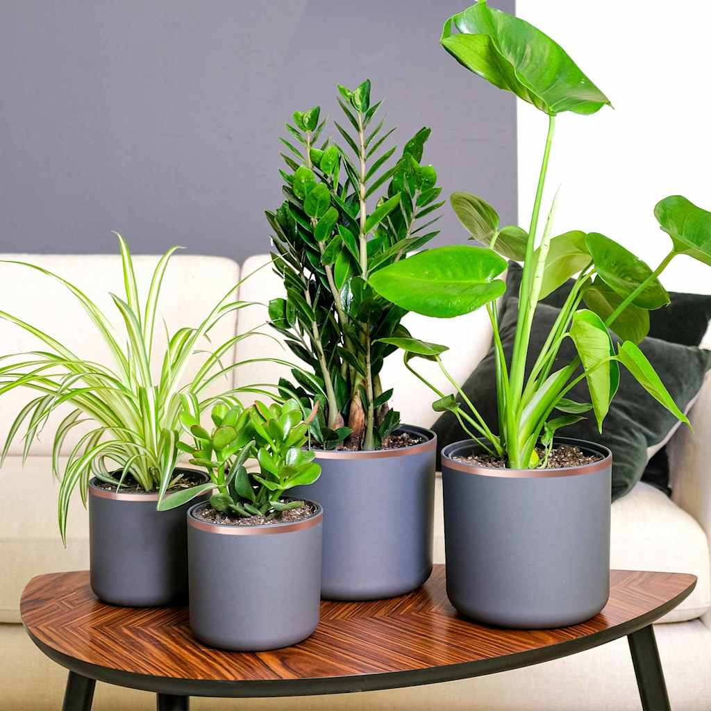 JUNG Vida Kupferband Kupfer 2000 x 1 cm Kupfer