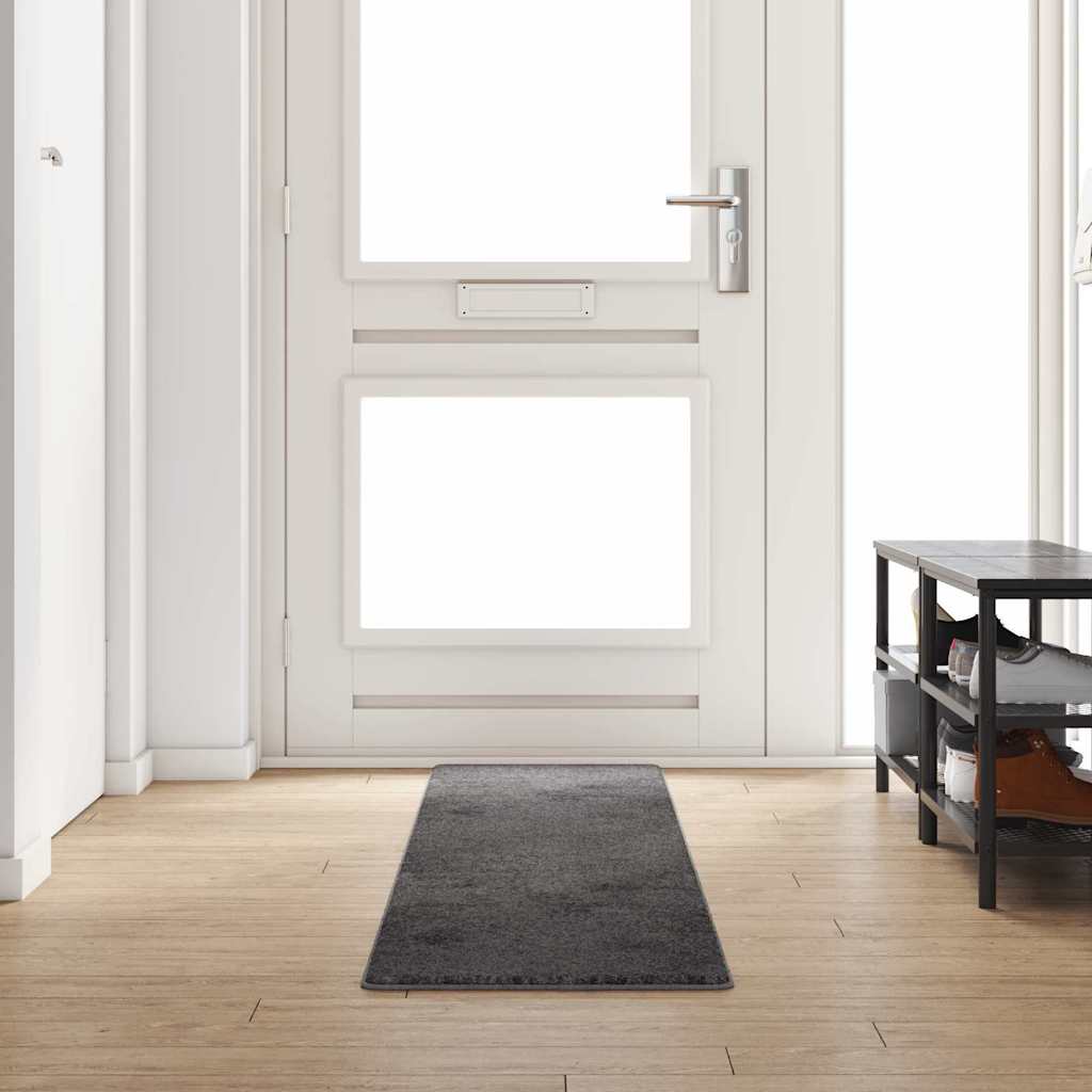 JUNG Vida Teppichläufer Grau 50 x 300 cm 100% Polypropylen Tuft