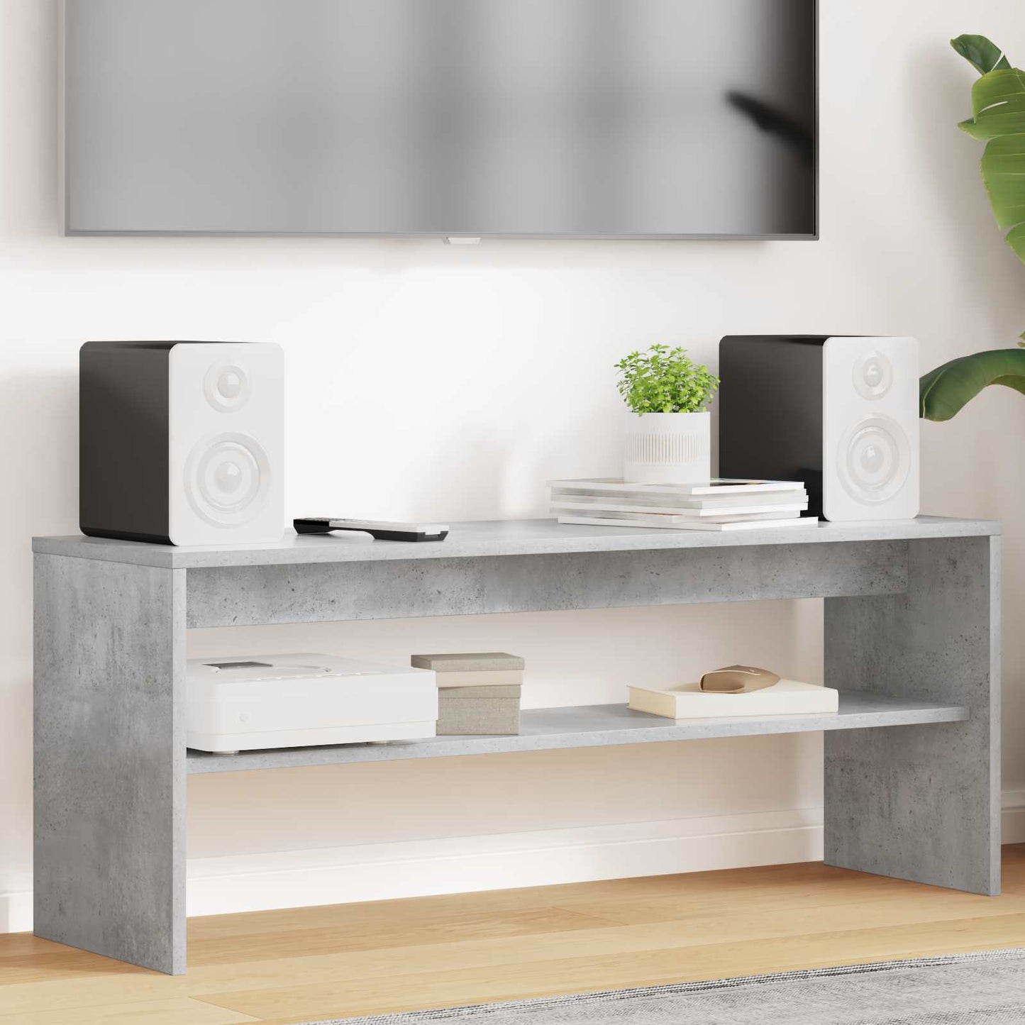 JUNG Vida TV-Schränk Beton Grau 100 x 30 x 40 cm Holzwerkstoff