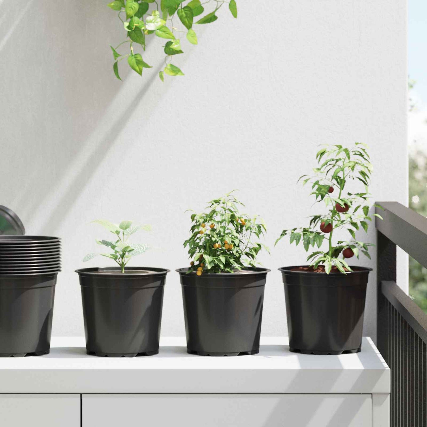 JUNG Vida Blumentopf 200 pcs Schwarz Ø 15 x 13 cm Kunststoff