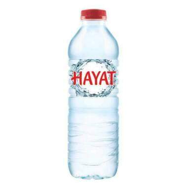 Hayat Stille Wasser 500ml Getränk Erfrischungsgetränk