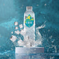 Scharf Blood Energy Drink Erfrischungsgetränk 24 Stk