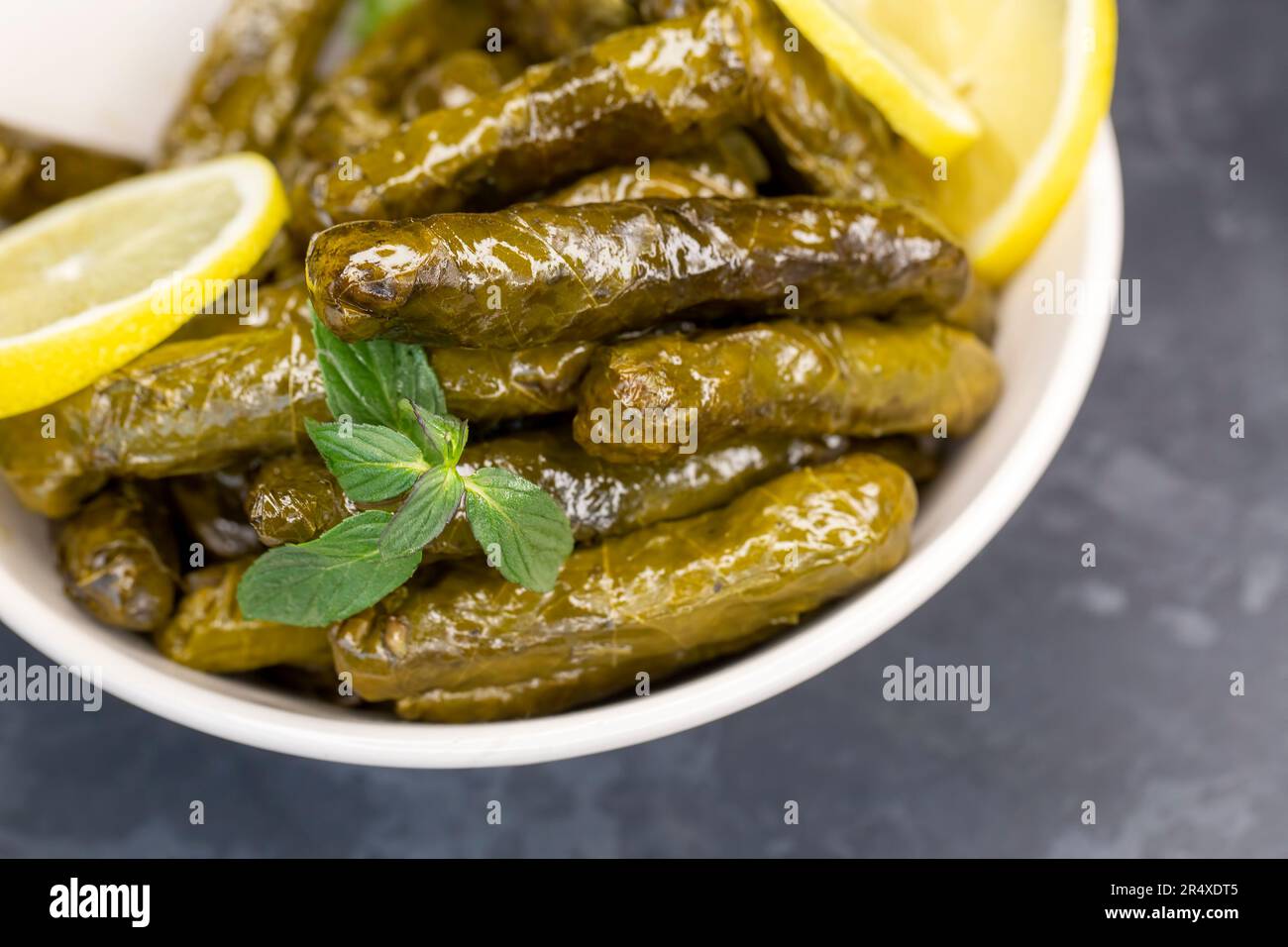 Yörem Blätter Sarmasi haltbares Lebensmittel 400g Konserve Vorrat