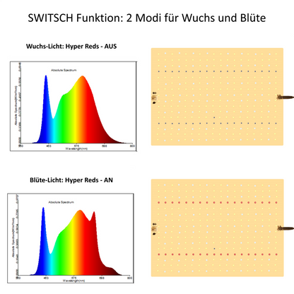 Jung NiceGrow Growbox Komplettset 80x80x180 cm für 3 Pflanzen, dimmbare LED 120W mit Samsung LMB281B+, flüsterleiser Lüfter und Aktivkohlefilter, ideal für den Indoor-Anbau und Geruchsneutralisation
