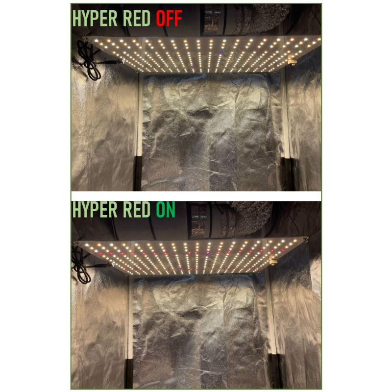 Jung NiceGrow Growbox Komplettset 80x80x180 cm für 3 Pflanzen, dimmbare LED 120W mit Samsung LMB281B+, flüsterleiser Lüfter und Aktivkohlefilter, ideal für den Indoor-Anbau und Geruchsneutralisation