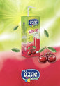 Bursali Ananas Meyve Saft 1000ml Getränk Erfrischungsgetränk