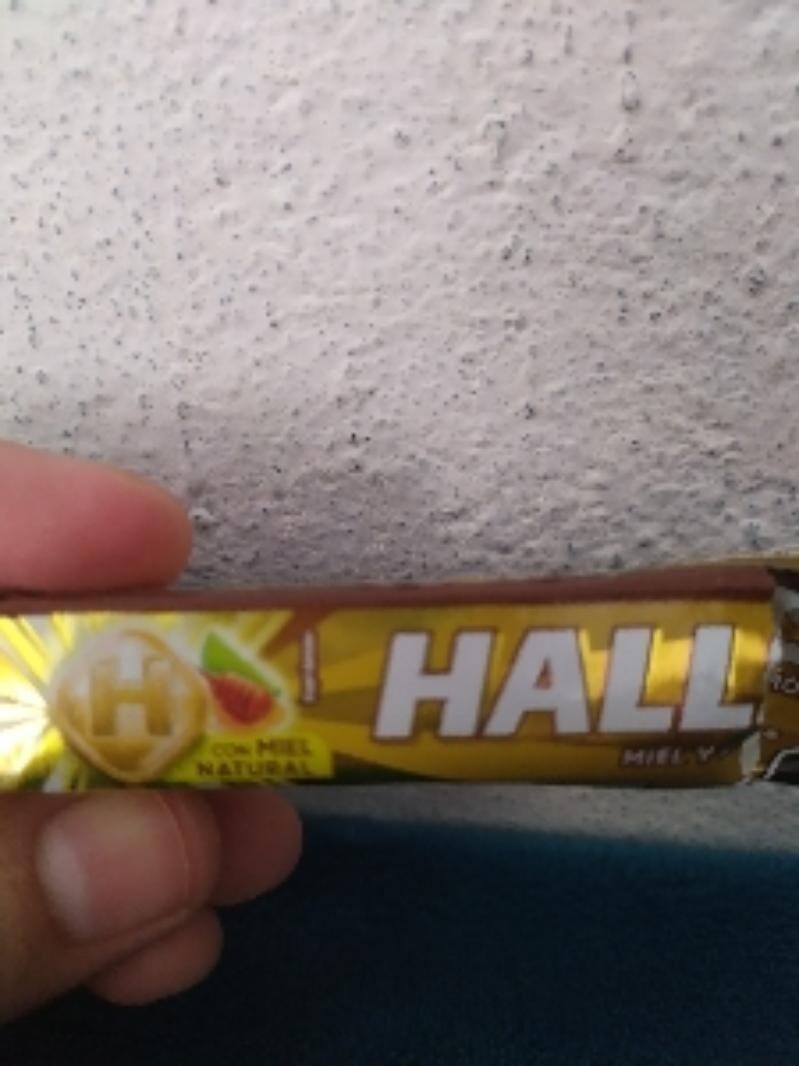 Hallay Duo mit Erdbeere 10Lu süße Spezialität 1 Stk Süßware Snack