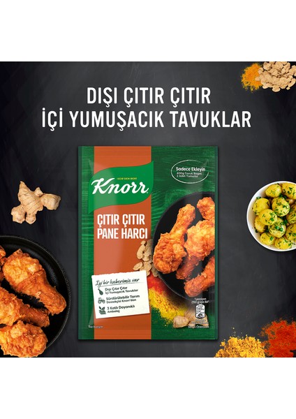 Ülker Citir Pane Harci Gewürz für die türkische Küche 90g Küchengewürz