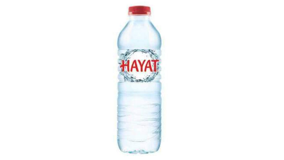 Hayat Wasser Still 1 Stk Getränk Erfrischungsgetränk