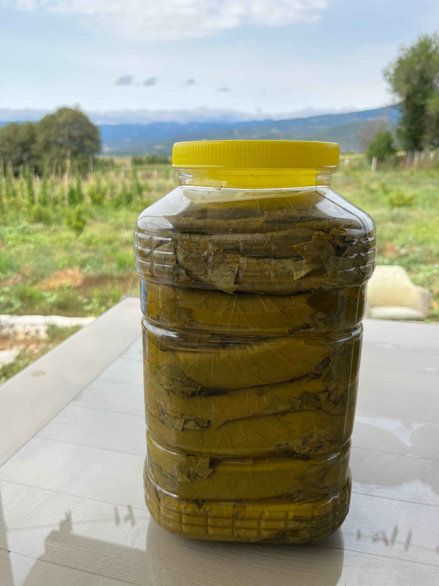 Cicek Salamura Tokat Yapragi eingelegte Spezialität 1000g Vorrat
