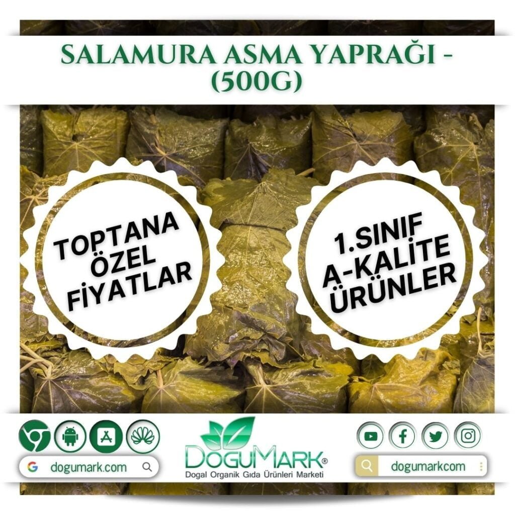 Sezgin Asma Yapragi 500g Lebensmittel Vorrat