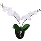 JUNG Vida Künstliche Orchidee mit Topf 30 cm Weiß
