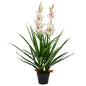 JUNG Vida Künstliche Cymbidium Orchideenpflanze mit Topf 100 cm Grün