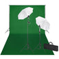 JUNG Vida Fotostudio-Set mit Grünem Hintergrund 600×300 & Leuchten