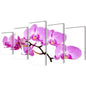 JUNG Vida Bilder Dekoration Set Orchidee 100 x 50 cm