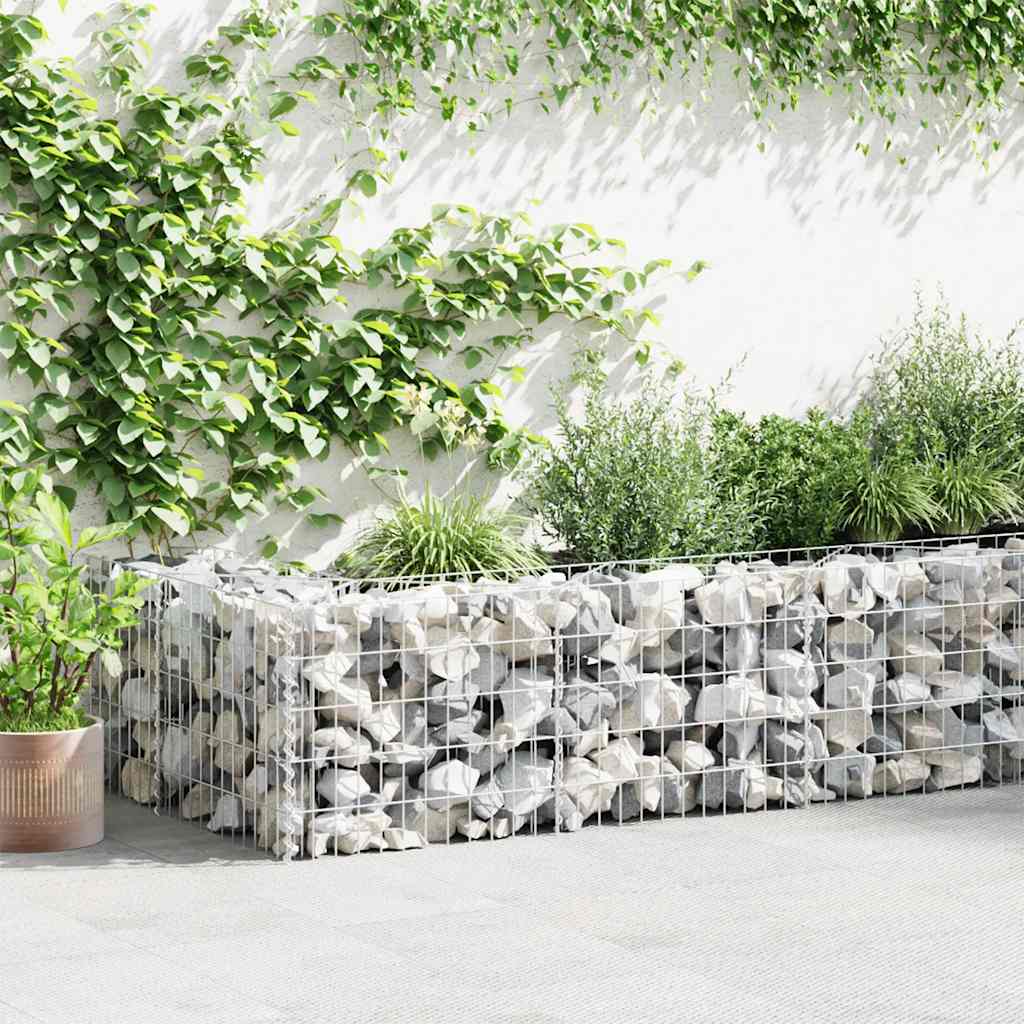 JUNG Vida Gabionenwand Verzinkter Stahl 630×30×50 cm