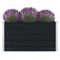 JUNG Vida Hochbeet 100×100×45 cm Verzinkter Stahl Anthrazit