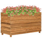 JUNG Vida Hochbeet 100x40x55 cm Teak Altholz und Stahl