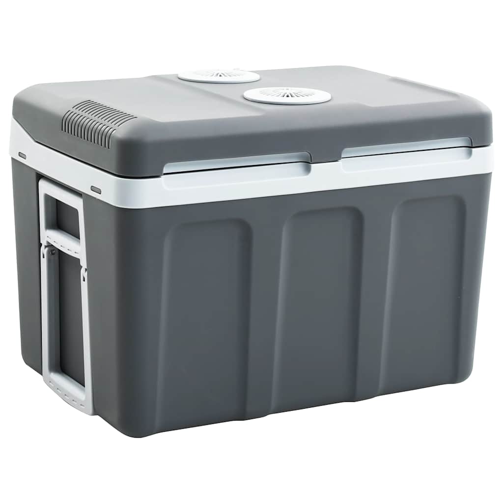JUNG Vida Thermoelektrische Kühlbox Mobil 40 L 12V 230V E