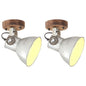 JUNG Vida Wand-/Deckenlampen Industriestil 2 Stk. Silbern 20x25 cm E27
