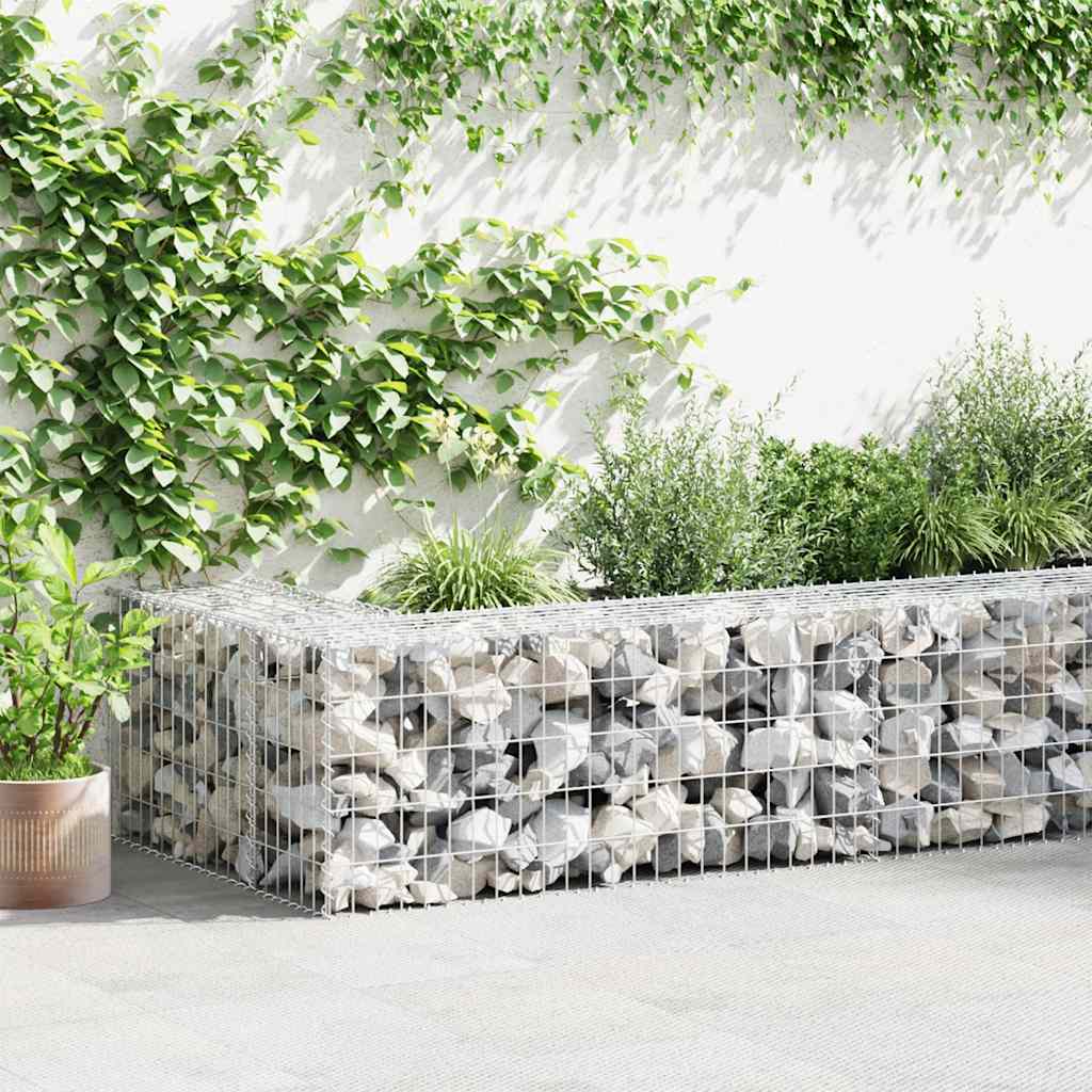 JUNG Vida Gabionenwand mit Abdeckung Verzinkter Stahl 300x30x50 cm