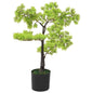 JUNG Vida Künstlicher Bonsai Zypresse mit Topf 60 cm Grün