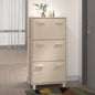 JUNG Vida Schuhschrank HAMAR Honigbraun 59,5x35x117 cm Massivholz Kiefer