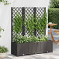 JUNG Vida Garten-Pflanzgefäß mit Spalier Schwarz 120 x 40 x 136 cm PP