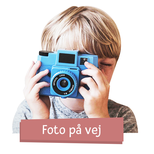 Eier Grundnahrungsmittel 30 Stk Getreide Vorrat