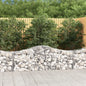 JUNG Vida Gabionen mit Hochbogen 40 Stk. 200x50x60/80 cm Verzinktes Eisen