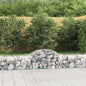 JUNG Vida Gabionen mit Hochbogen 15 Stk. 200x50x40/60 cm Verzinktes Eisen