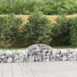 JUNG Vida Gabionen mit Hochbogen 30 Stk. 200x50x40/60 cm Verzinktes Eisen