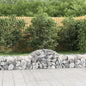 JUNG Vida Gabionen mit Hochbogen 40 Stk. 200x50x40/60 cm Verzinktes Eisen