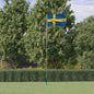 JUNG Vida Flagge Schwedens mit Mast 5,5 m Aluminium