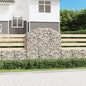 JUNG Vida Gabione mit Hochbogen 150x50x140/160 cm Verzinktes Eisen