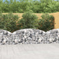JUNG Vida Gabione mit Hochbogen 200x30x60/80 cm Verzinktes Eisen