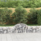JUNG Vida Gabione mit Hochbogen 200x50x40/60 cm Verzinktes Eisen
