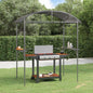 JUNG Vida Grillpavillon mit Seitenregalen Anthrazit 220x115x230 cm Stahl