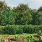 JUNG Vida Maschendrahtzaun mit Bodenflansch Grün 2,2x25 m