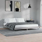 JUNG Vida Bettgestell Grau Sonoma 200x200 cm Holzwerkstoff